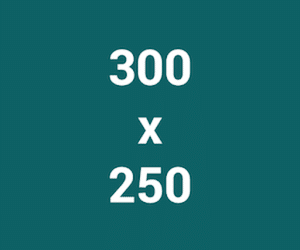 Banner 300x250
